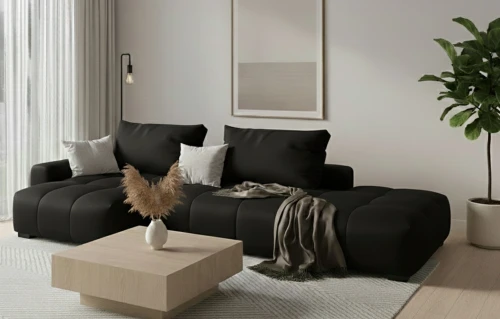 dion n8-lewy.webp