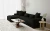 karl n12-lewy.webp