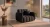 Fotel-Lumi 1-czarny.webp